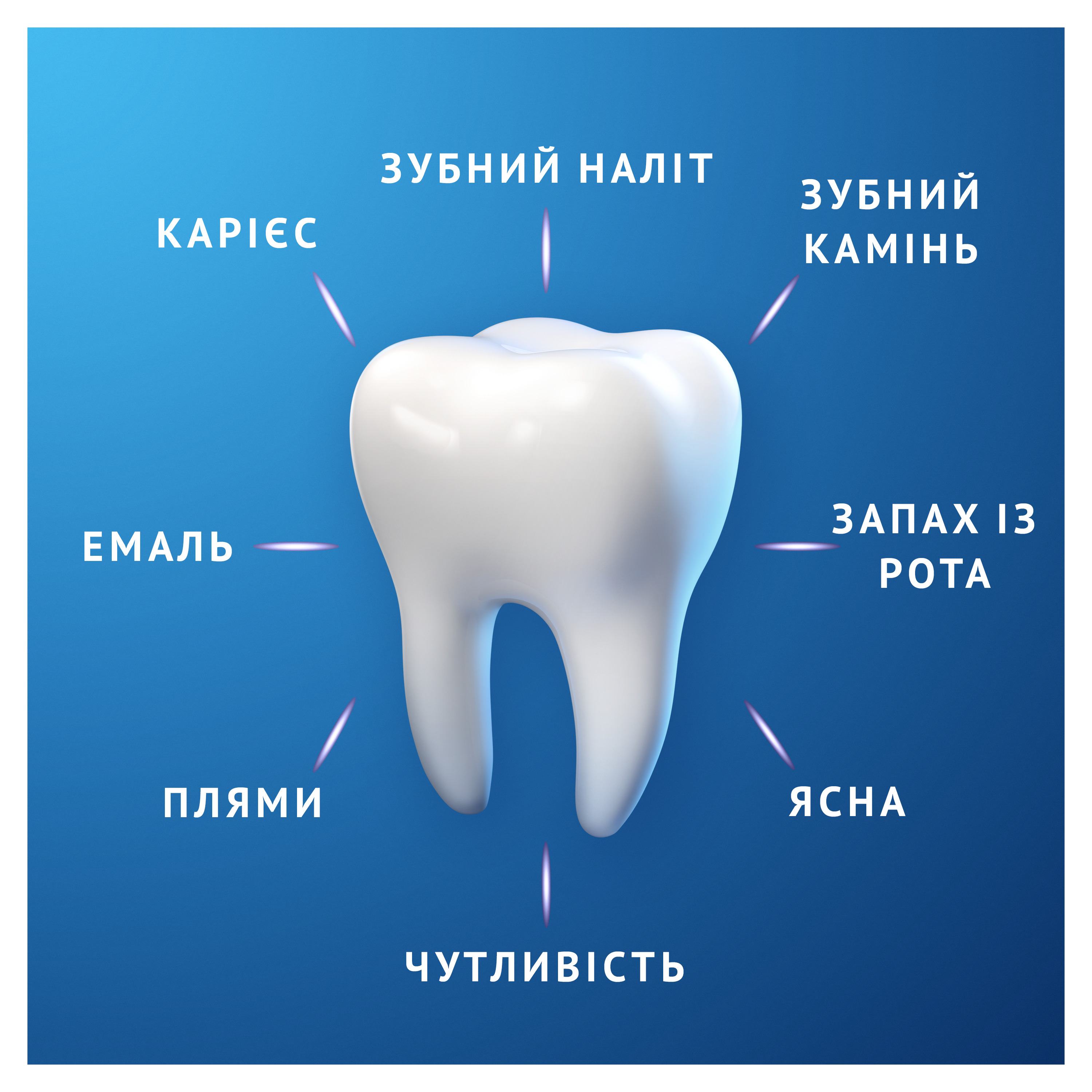 product-view